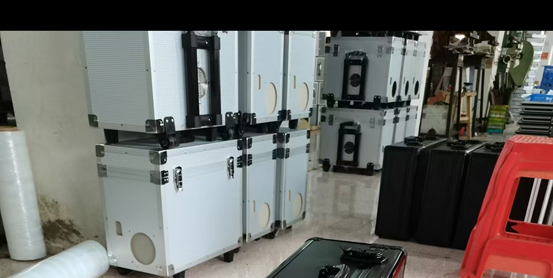 Trolley Case